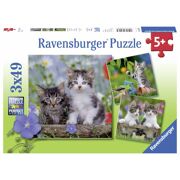 Puzzel Kittens 3 x 49 stuks - RAVENSBURGER 08046